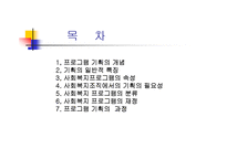 사회복지프로그램 기획 ppt-2