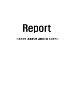 (A+자료) 이라크의 경제제도와 금융시스템 조사분석-1
