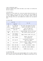 [경영전략] 디즈니랜드의 성공요인과 국가별 사례-4