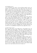 [경영전략] 디즈니랜드의 성공요인과 국가별 사례-8