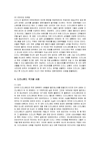 [경영전략] 디즈니랜드의 성공요인과 국가별 사례-9