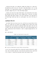 [국제경영] 소셜네트워크서비스(Social Network Service) 페이스북의 글로벌 경쟁전략-17