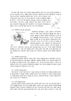 [심리학] 임상사회복지이론-12