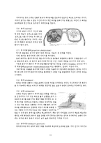 [심리학] 임상사회복지이론-15