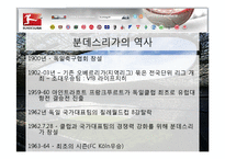 [독일문화] 분데스리가 역사와 의미-3