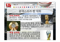 [독일문화] 분데스리가 역사와 의미-6