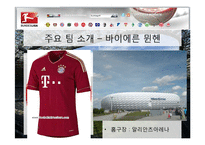 [독일문화] 분데스리가 역사와 의미-7