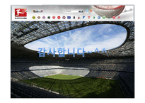 [독일문화] 분데스리가 역사와 의미-15