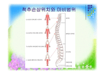 [사회복지] 지체장애의 진단과 극복-8