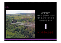 [자연과환경] 합성화학물질이 환경과 인간에 미치는 피해와 해결방안-16