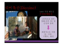 [자연과환경] 합성화학물질이 환경과 인간에 미치는 피해와 해결방안-17