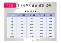 [정책학원론] 북한이탈주민(새터민) 정착지원 정책 분석-11