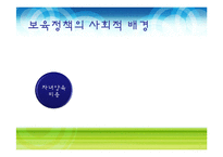 [사회복지] 육아보육정책 분석-4
