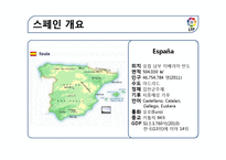스페인지역연구-스페인 축구의 역사와 현황-3