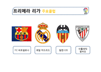 스페인지역연구-스페인 축구의 역사와 현황-10
