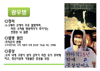 [자연과 환경] 축산 산업과 도시문화-광우병, 신종플루, 구제역 문제 고찰-4