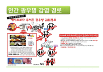 [자연과 환경] 축산 산업과 도시문화-광우병, 신종플루, 구제역 문제 고찰-6
