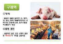 [자연과 환경] 축산 산업과 도시문화-광우병, 신종플루, 구제역 문제 고찰-7