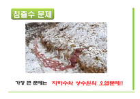 [자연과 환경] 축산 산업과 도시문화-광우병, 신종플루, 구제역 문제 고찰-13