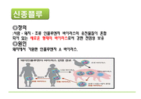 [자연과 환경] 축산 산업과 도시문화-광우병, 신종플루, 구제역 문제 고찰-19
