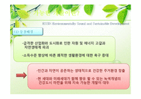 [지역개발론] 지속 가능한 개발-친환경도시 국내외 사례-3