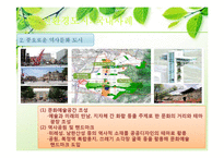 [지역개발론] 지속 가능한 개발-친환경도시 국내외 사례-12