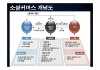 [사회학] 피해사례를 통한 소셜커머스의 문제점과 발전방안 고찰-8