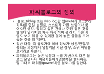[정보화사회] 파워블로거의 블로그 포스팅이 오프라인 소비자에게 미치는 영향력 분석-6
