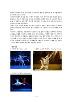 [서양무용사] 낭만발레와 고전발레-4