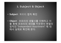 [유전학] 멘델의 유전 법칙(Independent Assortment) 실험-2