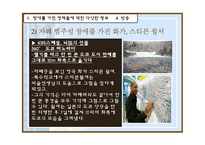 [특수교육] 장애를 가진 영재를 위한 관심의 필요성-17