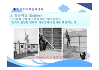 [교육심리] 인지주의 학습이론-7