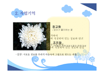 [교육심리] 인지주의 학습이론-15