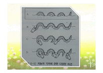 [교육심리학] 학습자의 개인차-지능, 창의력, 인지양식-5