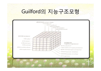 [교육심리학] 학습자의 개인차-지능, 창의력, 인지양식-9