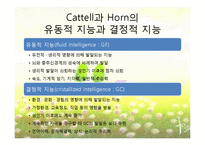 [교육심리학] 학습자의 개인차-지능, 창의력, 인지양식-11