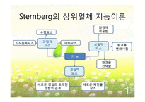 [교육심리학] 학습자의 개인차-지능, 창의력, 인지양식-19