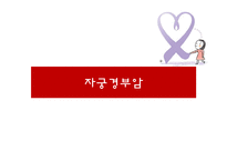 자궁경부암의 원인 및 예방과 치료-1