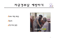 자궁경부암의 원인 및 예방과 치료-14