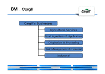 애그리플레이션(agriflation)과 글로벌 농기업 카길(Cargill) 분석-14