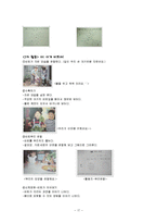 생태유아교육 레포트-17