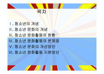 청소년 문화활동의 문제점과 지원방안-2