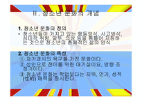 청소년 문화활동의 문제점과 지원방안-5