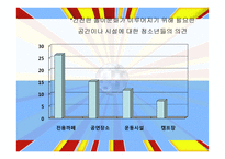 청소년 문화활동의 문제점과 지원방안-11