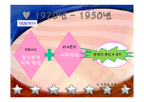 미국과 우리나라의 사회복지실천발달과정-12