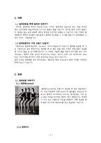 발레용품의 종류와 특징 및 사례들 조사분석-3