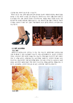 발레용품의 종류와 특징 및 사례들 조사분석-7