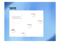 한경희 생활과학한경희 스팀청소기 성공요인 조사분석-6