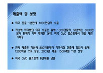 한경희 생활과학한경희 스팀청소기 성공요인 조사분석-8