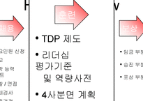 [인적자원관리] 듀폰의 HRM 시스템 분석-17